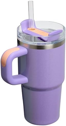 Stanley Quencher H2.0 Tumbler with Handle and Straw 20 oz | Flowstate 3-Position Lid | Cup Holder Compatible for Travel | Insulated Stainless Steel Cup | BPA-Free | Periwinkle Shimmer