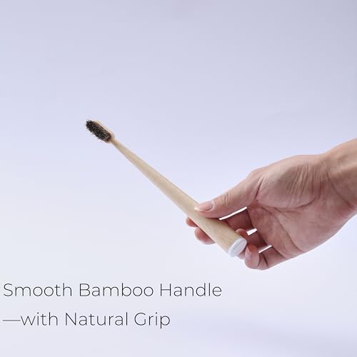 Horse Hair Toothbrush with Bamboo Travel Case, Adult Brush Set