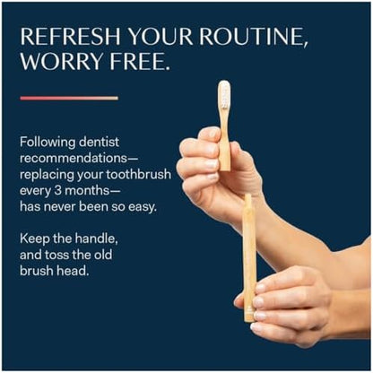Better & Better Natural Bamboo Toothbrush | Soft Bristles | 100% Plant-Based | Reusable Handle and Replaceable Brush Head | Eco-Friendly, Zero Plastic | Adult Size, White