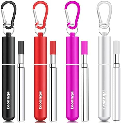 Ecoangel Cruise Ship Essentials, Reusable Metal Straws (4 Pack)
