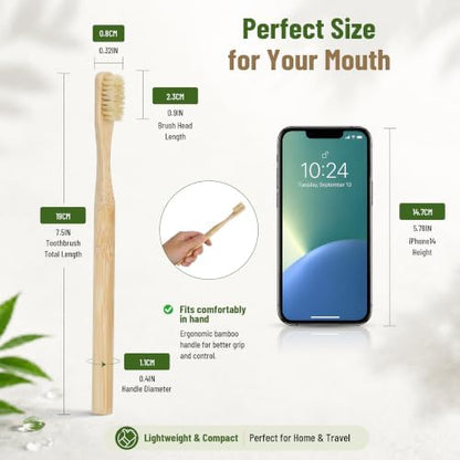 DEBETOOL 4-Pack Natural Boar Bristle Toothbrush for Adults