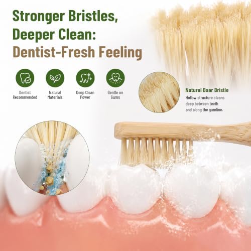 DEBETOOL 4-Pack Natural Boar Bristle Toothbrush for Adults
