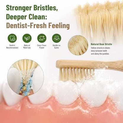 DEBETOOL 4-Pack Natural Boar Bristle Toothbrush for Adults