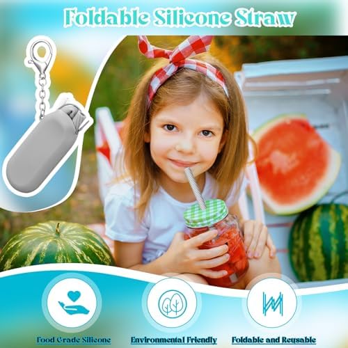 Meanplan 4 Sets Reusable Straws Travel Case Brush Silicone,Gray