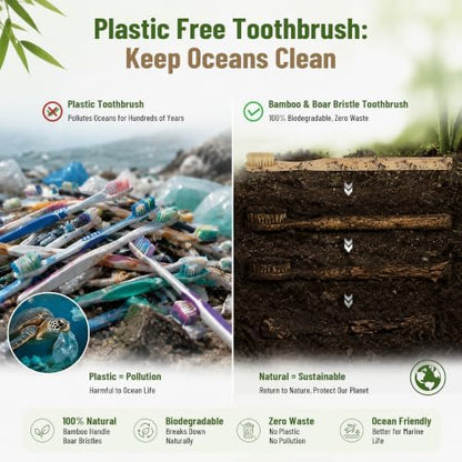 DEBETOOL 4-Pack Natural Boar Bristle Toothbrush for Adults