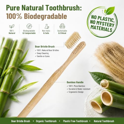 DEBETOOL 4-Pack Natural Boar Bristle Toothbrush for Adults