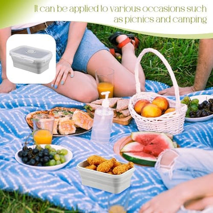 10Pcs Silicone Collapsible Food Storage Containers with Airtight Lids,17oz