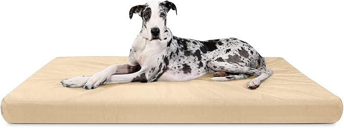 K9 Ballistics Tough Ripstop Orthopedic Rectangle Dog Bed Removable Washable Cover, Solid Orthopedic Foam for Size XXL Giant Big Dogs 68"x40", Sandstone