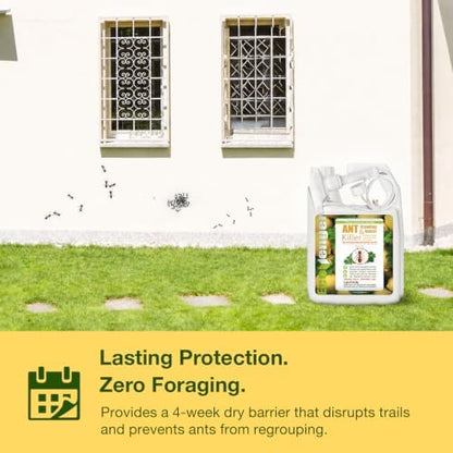 EcoVenger® Ant Killer & Nest Treatment (32 OZ), Fast Kills House Ants, Fire Ants, Lasting Repellency, Safe for Children & Pets