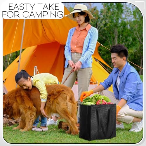 10 Pack 10 Pack Large Insulated Grocery Bag Zippered, Grey,Black