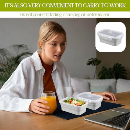 10Pcs Silicone Collapsible Food Storage Containers with Airtight Lids,17oz