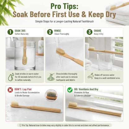 DEBETOOL 4-Pack Natural Boar Bristle Toothbrush for Adults
