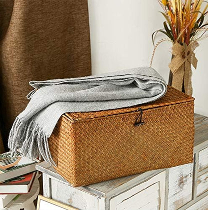 DOKOT Rectangular Handwoven Seagrass Storage Basket with Lid for Shelves and Home Organizer Bin, (M (12"x7"x6"H), Brown)