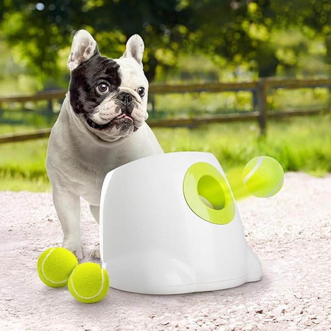 ALL FOR PAWS Original Dog Automatic Ball Launcher for Small and Medium Dogs