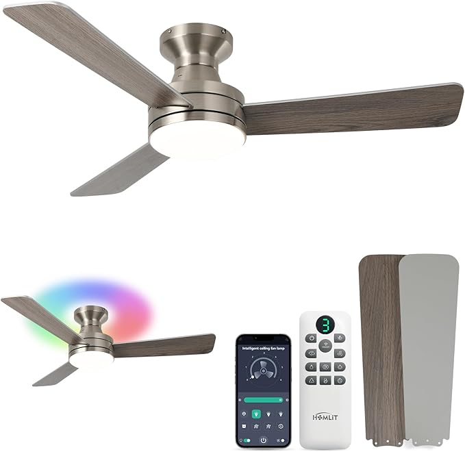 Homlit 42 inch RGB Ceiling Fan