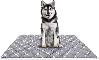 Bubble bear Dog Crate Mat - Ultra Soft, Washable & Anti-Slip Kennel Pad for Small/Medium/Large Dogs, Dark-Hued to Hide Stains (48"x30")