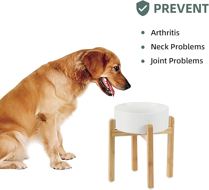 Ceramic Raised Dog Bowl Set, Elevated Dog Bowl