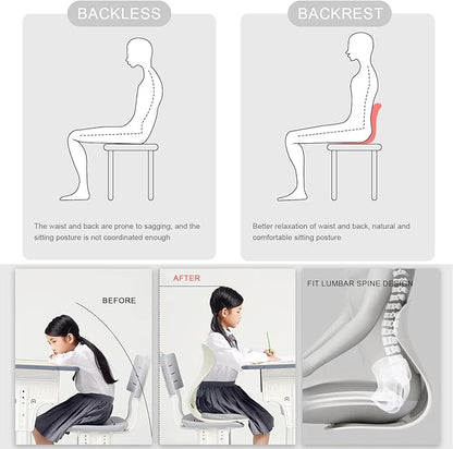 Posture Support Cushion - Lumbar & Back Support for Office Chair, Car Seat, Sofa, Ergonomic Chair & Back Cushion Back Support (04)