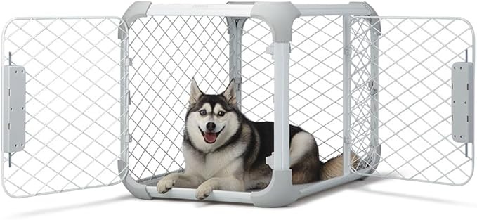 DIGGS Evolv Dog Crate - Slim, Durable Dog Kennel with Removable Ceiling Panel and Modular Design - Safe, Stylish, and Convenient (Ash, Medium)