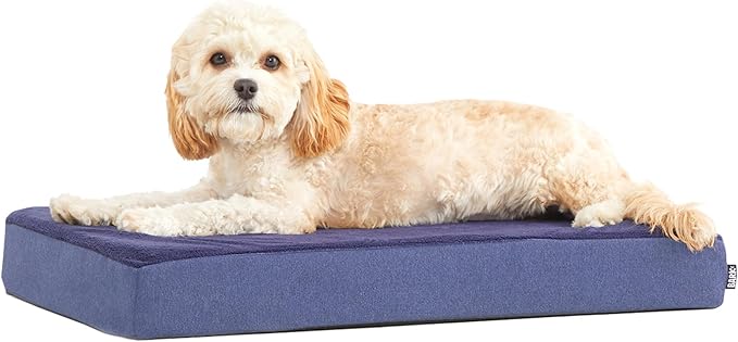 Barkbox Orthopedic Dog Bed | Comfortable Memory Foam Mattress for Joint Relief | Head and Neck Support Waterproof with Non Skid Bottom | Calming Durable Bed with Washable Cover | Small, Navy
