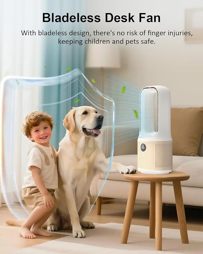 MEIIS Desk Fan, Small Quiet Bladeless Fan