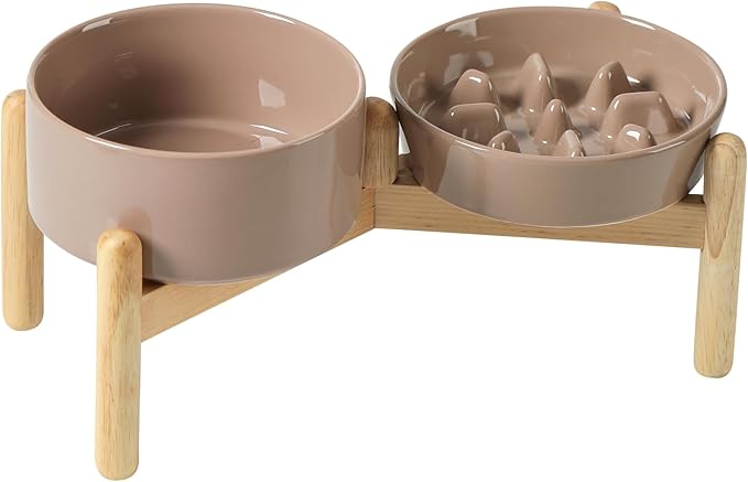 Ceramic 0.9 Cup Raised Slow Feeder Dog Bowl Set, Elevated 6.1inch Slow Dish and