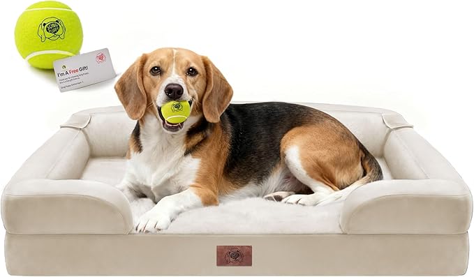 Orthopedic Dog Beds for Large Medium Dogs, Big Waterproof Memory Foam Pet Couch Bed with Removable Washable Cover, Tennis Ball Toy, 36x27