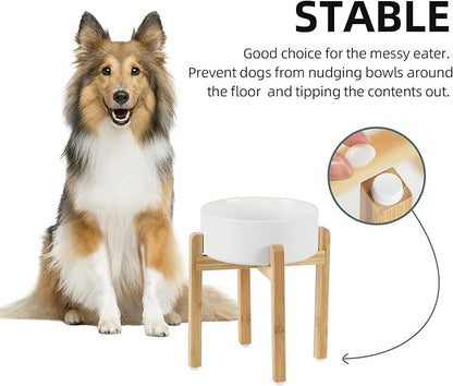 Ceramic Raised Dog Bowl Set, Elevated Dog Bowl