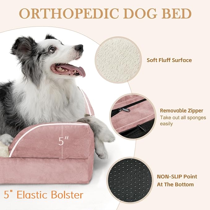 Comfort Expression Orthopedic Dog Bed
