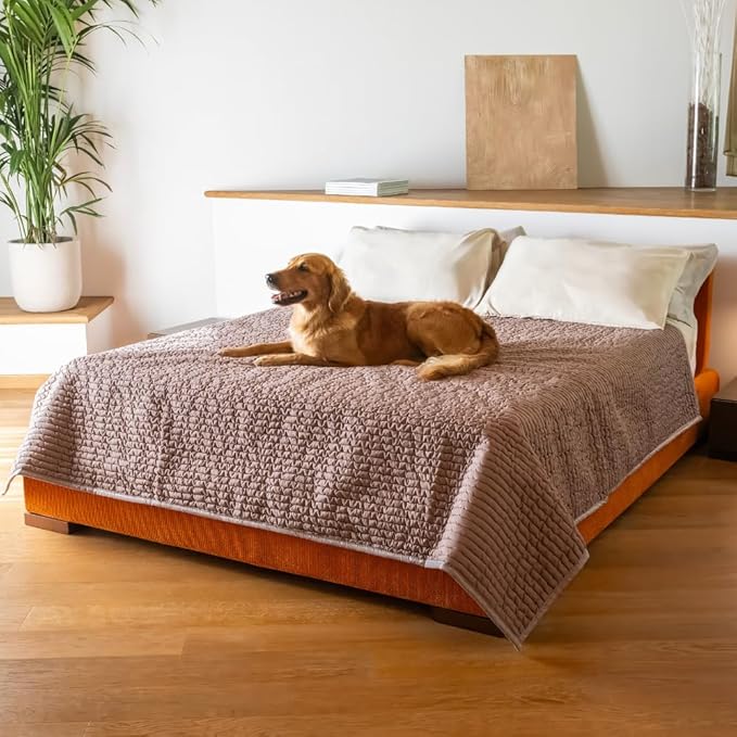 PAULATO BY GA.I.CO. Waterproof Blanket for Bed – Queen Absorbent Couch Cover – Machine Washable Stain-Proof Pad for Large Sofa – Pets Dogs & Cats Friendly Protector - Marsala
