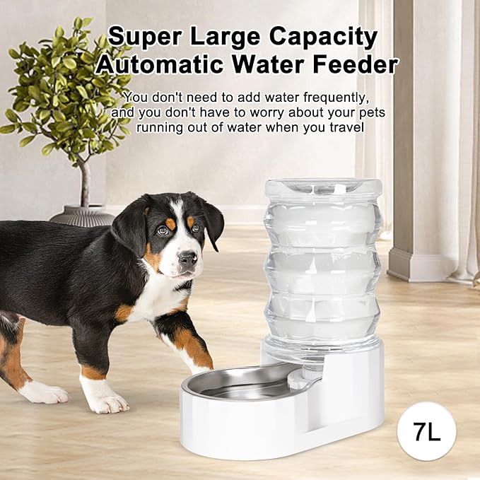 RIZZARI Automatic Gravity Pet Dispenser: 6.5L Large Capacity -No Power Needed