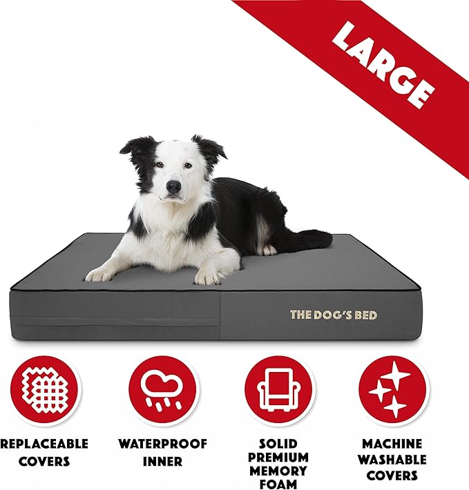 The Dog’s Bed Orthopedic Memory Foam Dog Bed, Large Grey & Black, Waterproof, Supportive Dog Bed with Replaceable Covers, Veterinary Approved
