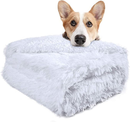 LOCHAS Luxury Fluffy Dog Blanket, Extra Soft and Warm Sherpa Fleece Pet Blankets for Dogs Cats, Plush Furry Faux Fur Puppy Throw Cover, 20''x30'' White