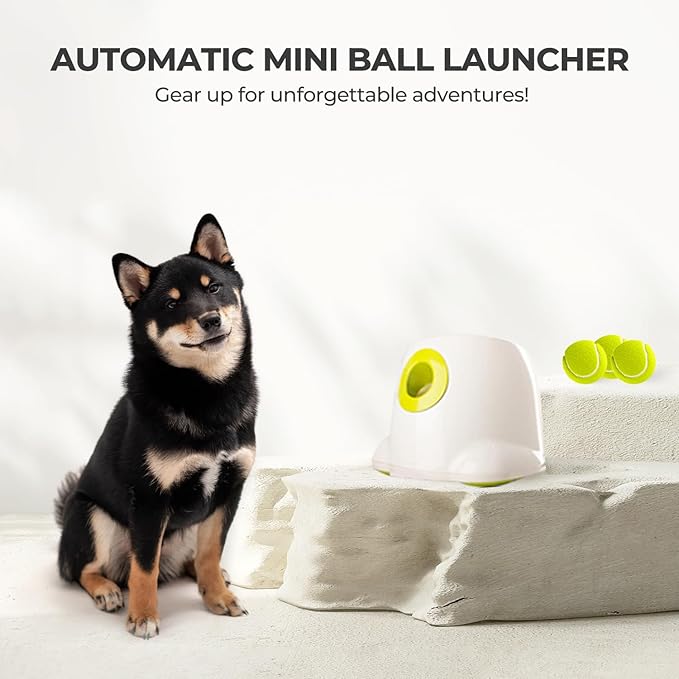ALL FOR PAWS Original Dog Automatic Ball Launcher for Small and Medium Dogs
