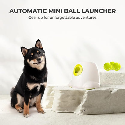 ALL FOR PAWS Original Dog Automatic Ball Launcher for Small and Medium Dogs