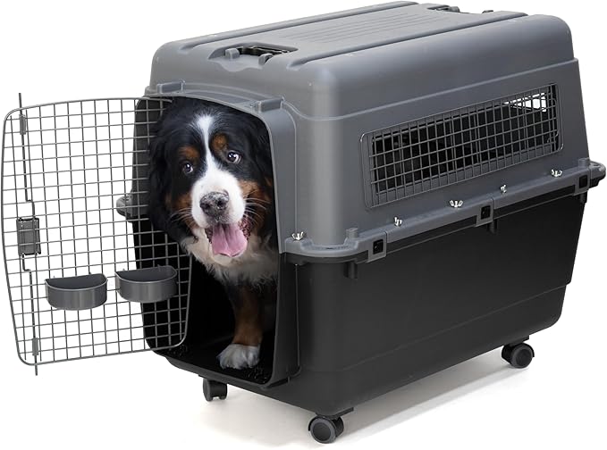 SportPet Airline Approved Wire Door Travel Dog Crate, Durable Plastic Pet Travel Kennel with Removable Wheels,Collapsible, Food Bowls & Accessories,Fits Dogs up to 32" L & 24" H - X-Large -Gray/Black