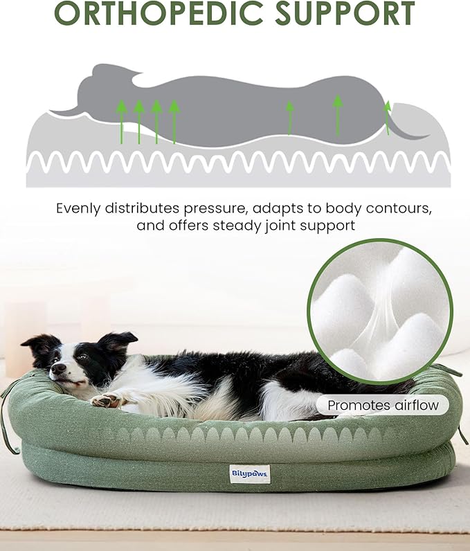 bilypaws Orthopedic Dog Bed for Large Dogs, Pet Sofa Bed with Egg Crate Foam, 4-Sided Bolster, Removable Washable Cover & Anti-Slip Bottom, XX-Large Calliste Green