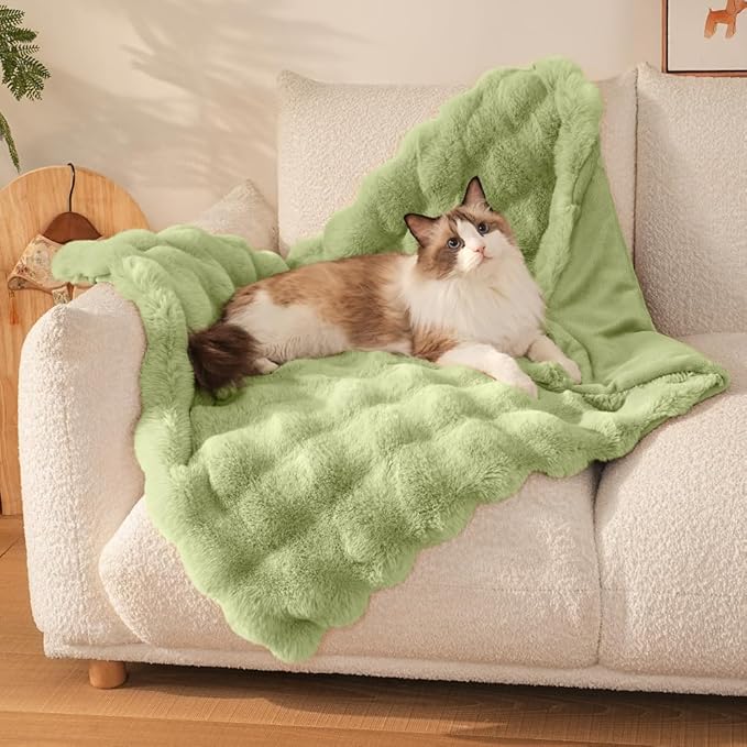 Cat Blanket for Indoor Cats Ultra Soft Plush Faux Fur Kitten Blankets Machine Washable Reversible Pet Throw Protector for Couch Furniture 21"X 18"Fruit Green