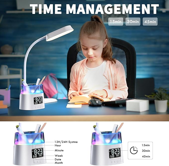 Led Desk Lamp with Pen Holder, Touch Lamps