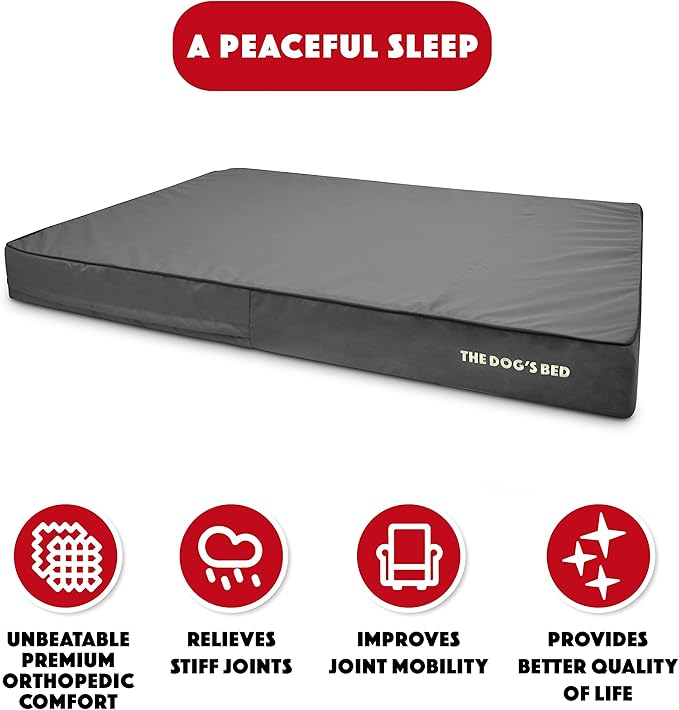 The Dog’s Bed Orthopedic Memory Foam Dog Bed, XXXL Grey & Black, Waterproof, Supportive Dog Bed with Replaceable Covers, Veterinary Approved