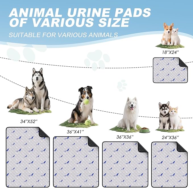 Velvopet Washable Pee Pads for Dogs, 1 Pack Puppy Pads, Super Absorbent & Leakproof with Anti-Slip Bottom for Dog Training, Crates, Car, Pet Pee Pads, and Furniture Protection, 65"x48"