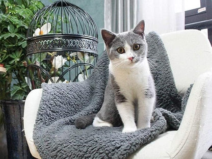 Furrybaby 2-in-1 Premium Sherpa Pet Blankets for Medium Dogs & Cats, Super Soft Washable Fleece, Calming Couch, Car & Indoor Use (32"x40", Grey & Beige)