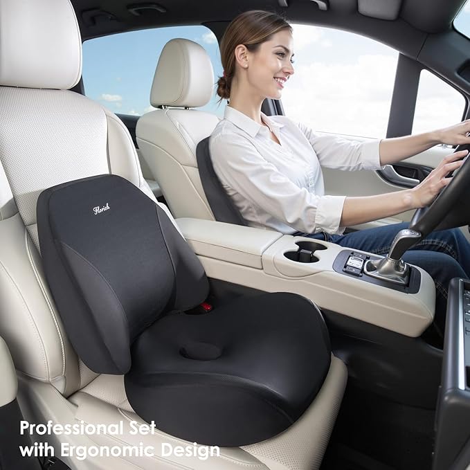 FLORICH Lumbar Support Pillow and Car Seat Cushion, Ergonomic Back Support Pillow and Seat Chair Cushion for Office Chair Memory Foam Lumbar Support and Car Seat Cushion for Car Seat Driver - Black