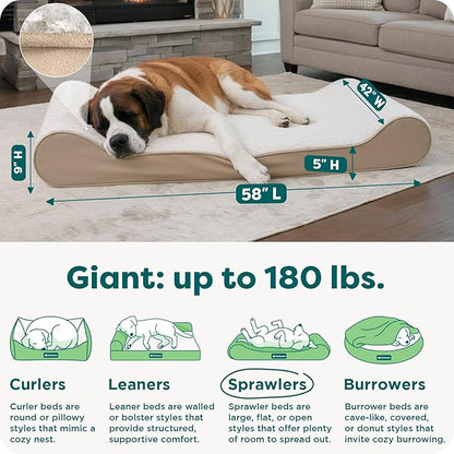 Furhaven Orthopedic Dog Bed for Extra Large Dogs w/ Removable Washable Cover, For Dogs Up to 180 lbs - Ultra Plush Faux Fur & Suede Luxe Lounger Contour Mattress - Cream, Giant/XXXL