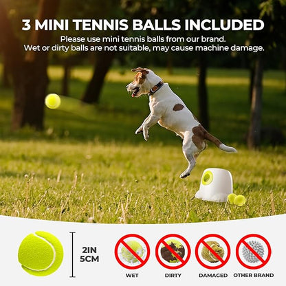 ALL FOR PAWS Original Dog Automatic Ball Launcher for Small and Medium Dogs