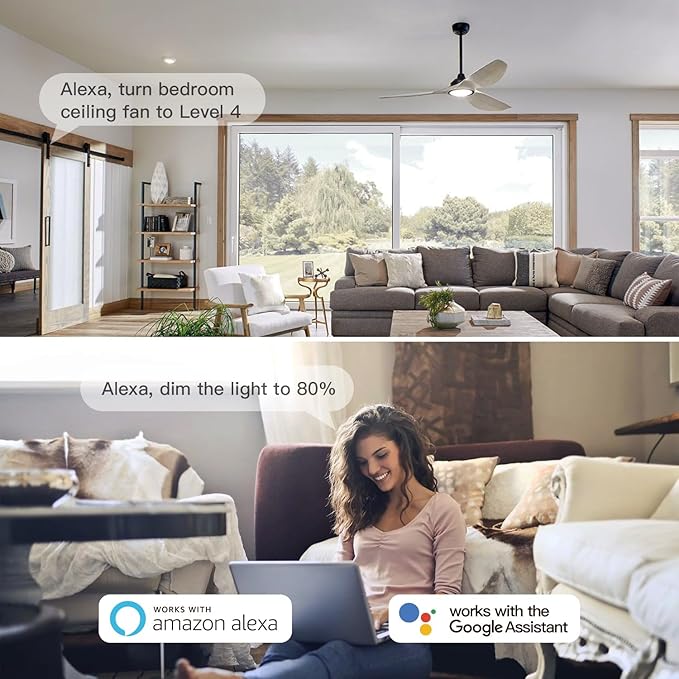 TREATLIFE Smart Ceiling Fan Control and Dimmer Light Switch, 2.4GHz WiFi Only