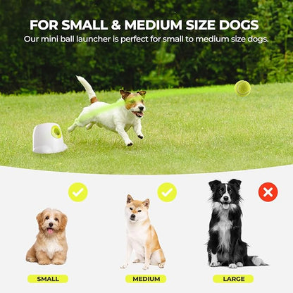 ALL FOR PAWS Original Dog Automatic Ball Launcher for Small and Medium Dogs