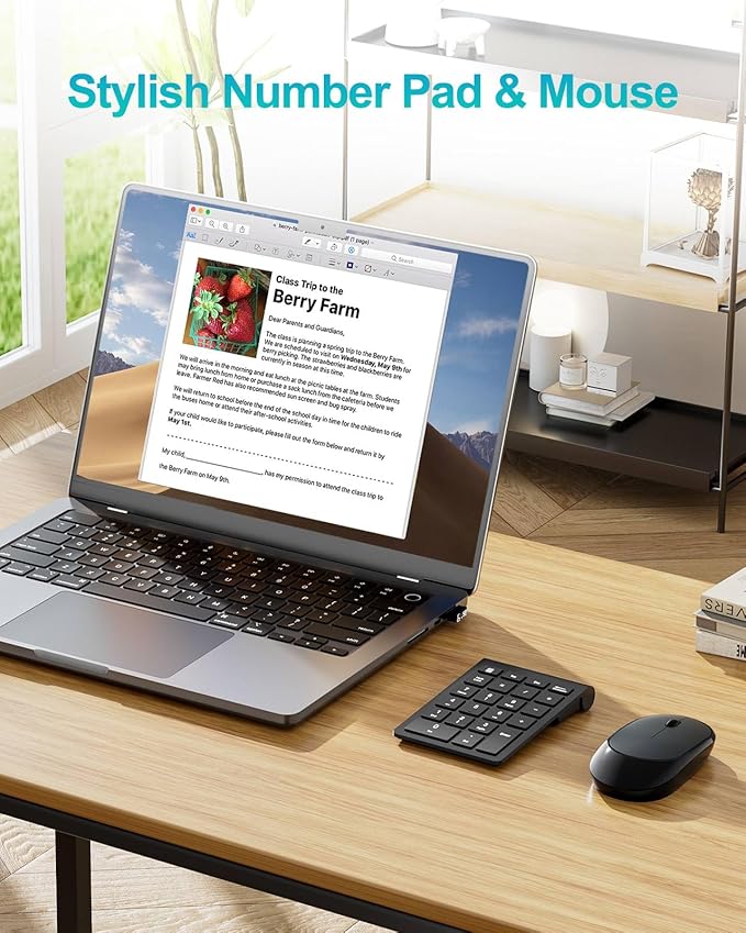 Wireless Number Pad, Lekvey Numeric Pad and Mouse Combo, Portable Slim 2.4GHz