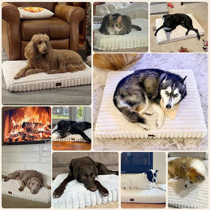 Orthopedic Dog Bed for Medium Dog, Waterproof Pet Bed,Non-Slip Bottom and Egg-Crate Foam with Removable Washable Cover Crate Bed,Cream,30"x20"x3"