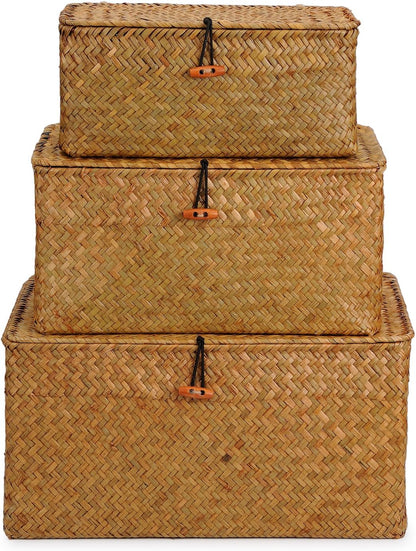 DOKOT Woven Wicker Storage Bins with Lid, Seagrass Basket for Shelf Organizer, Extra Large, Set of 3